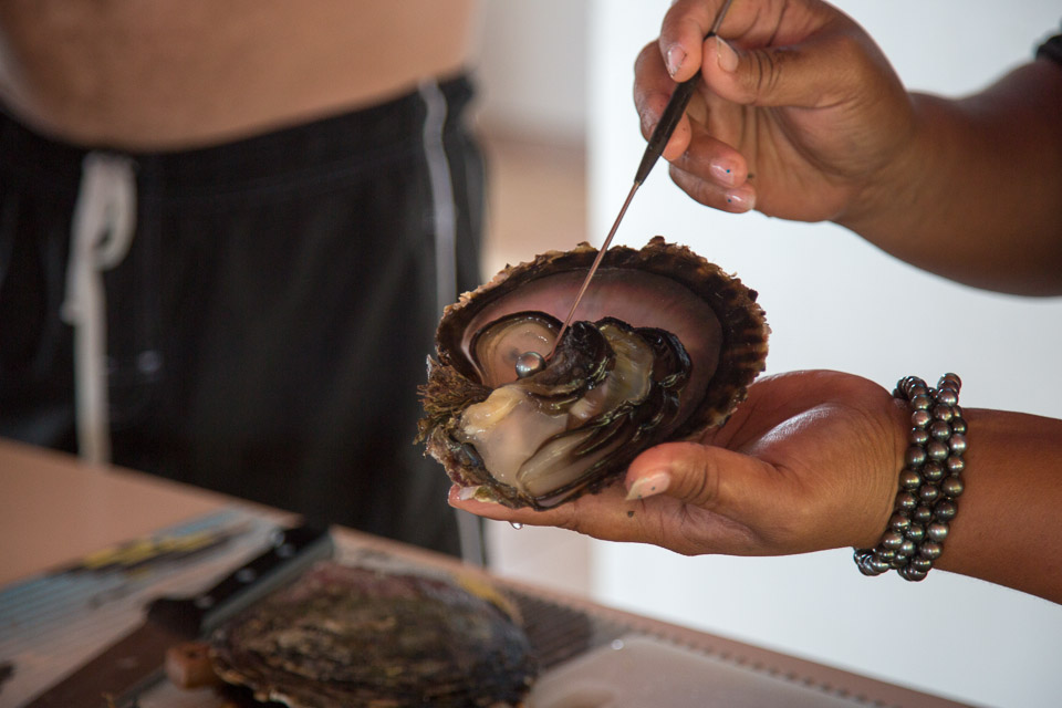 3L9A5439.jpg Iles sous le vent - Tahaa - Copyright : See Otherwise 2012 - 2026